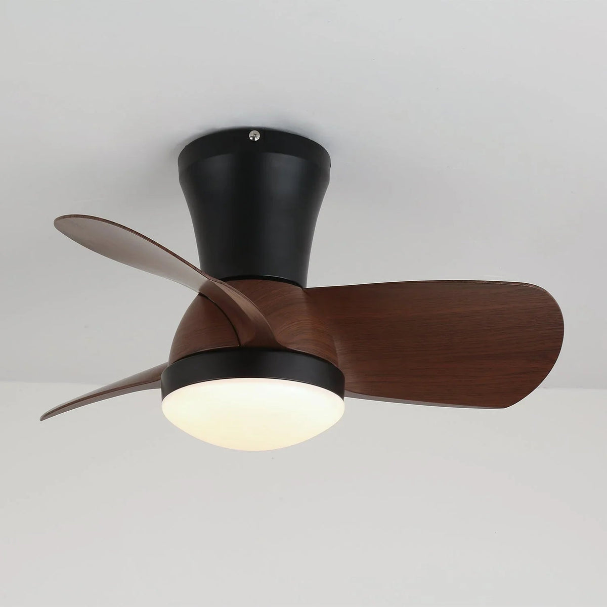 Miro Ceiling Fan Light