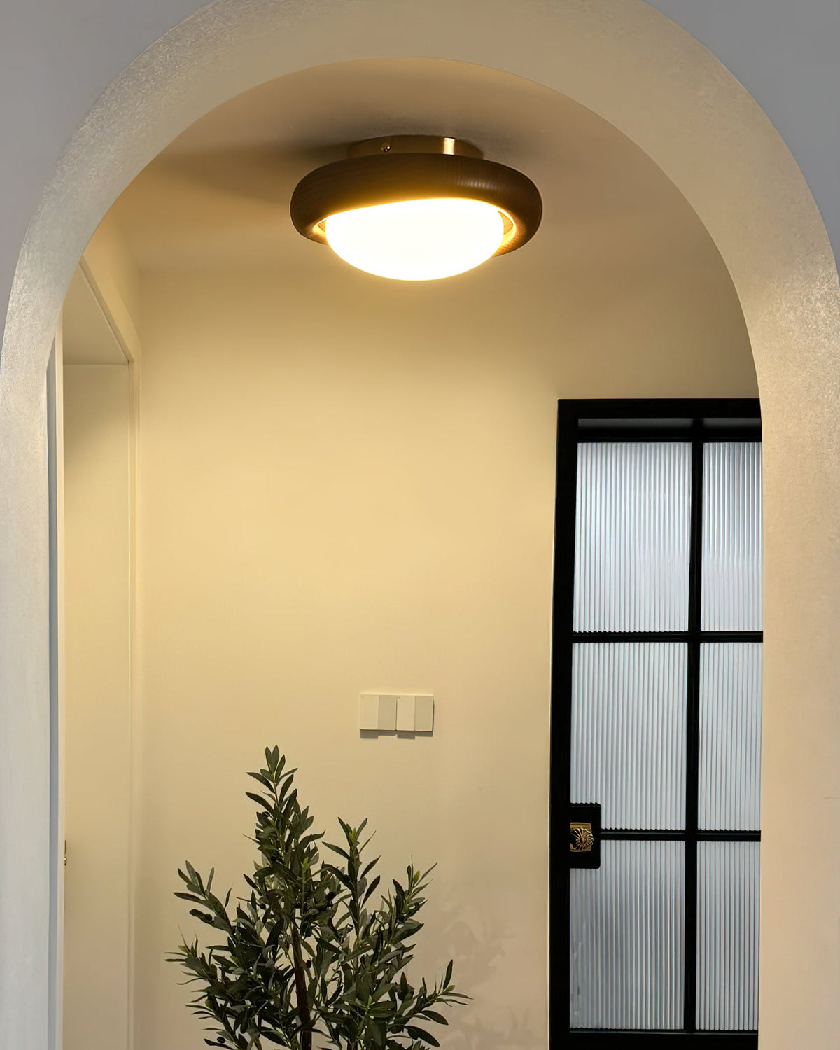 Avenuia Ceiling Lamp