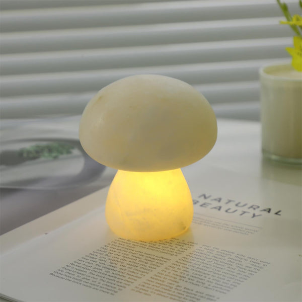 Fungi Table Lamp (built-in battery)