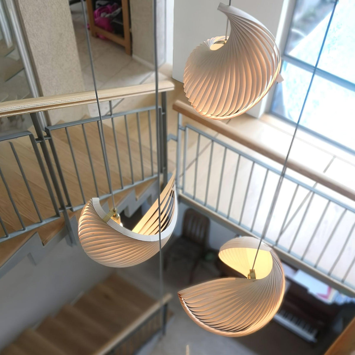 Nautilus Shell Pendant Light