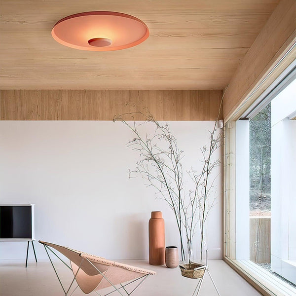 OLEV Overfly Plus Ceiling Light