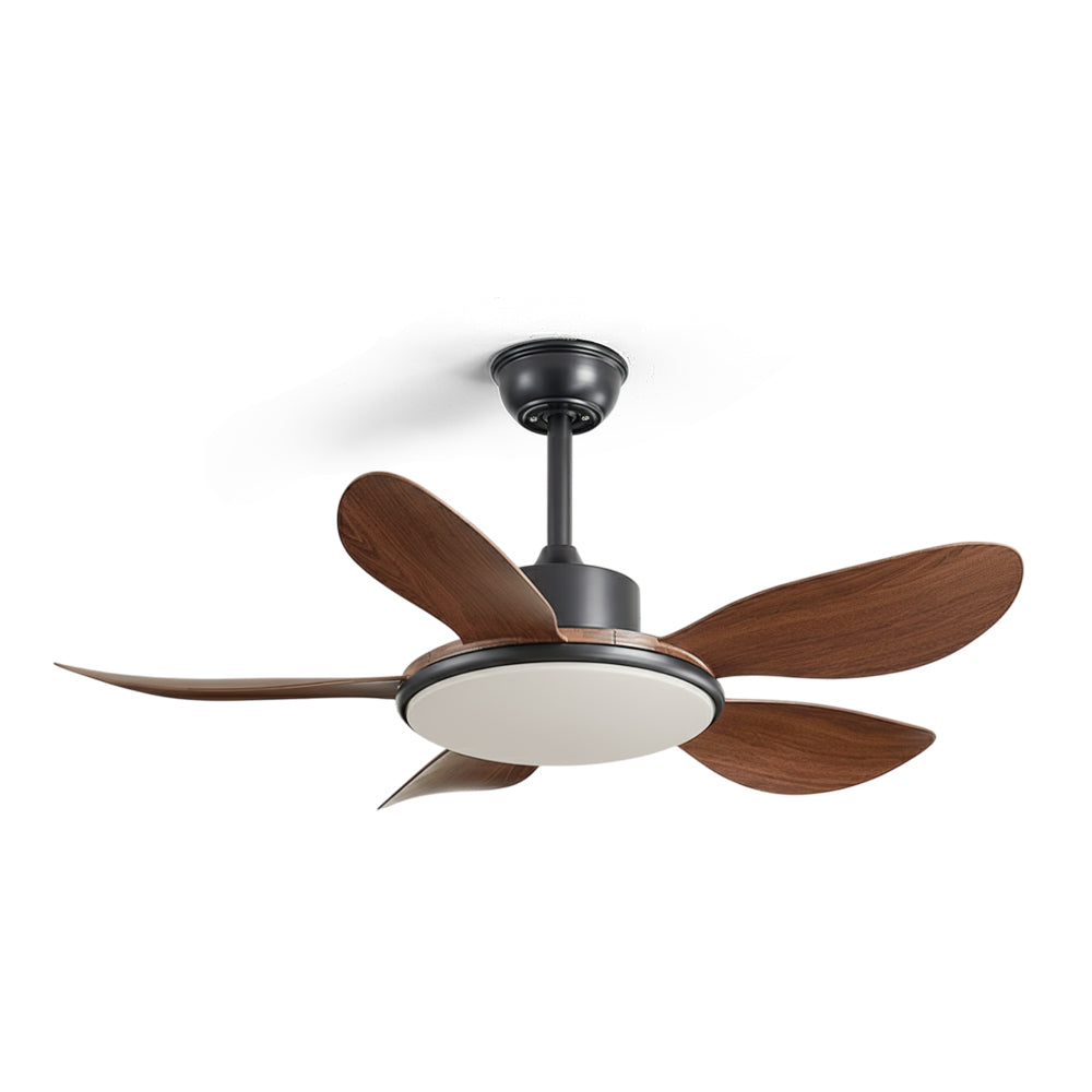 Rivivaine Ceiling Fan Light