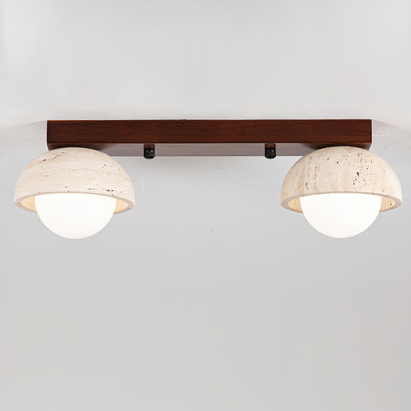 Palermo Combination Ceiling Light