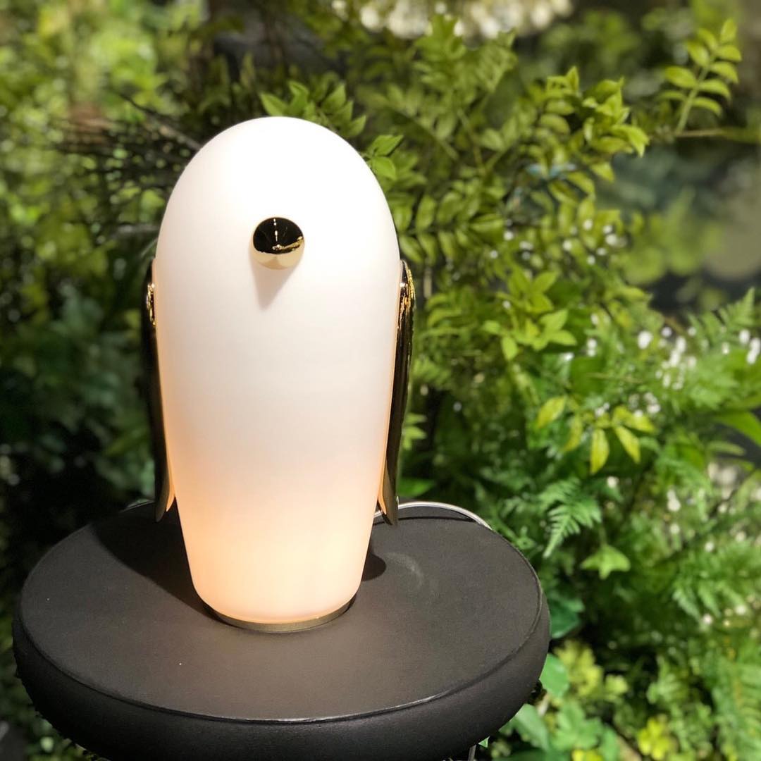 Pet Table Light