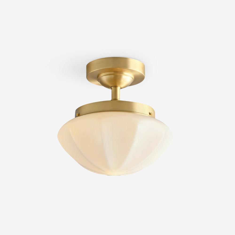 Lumoel Ceiling Light