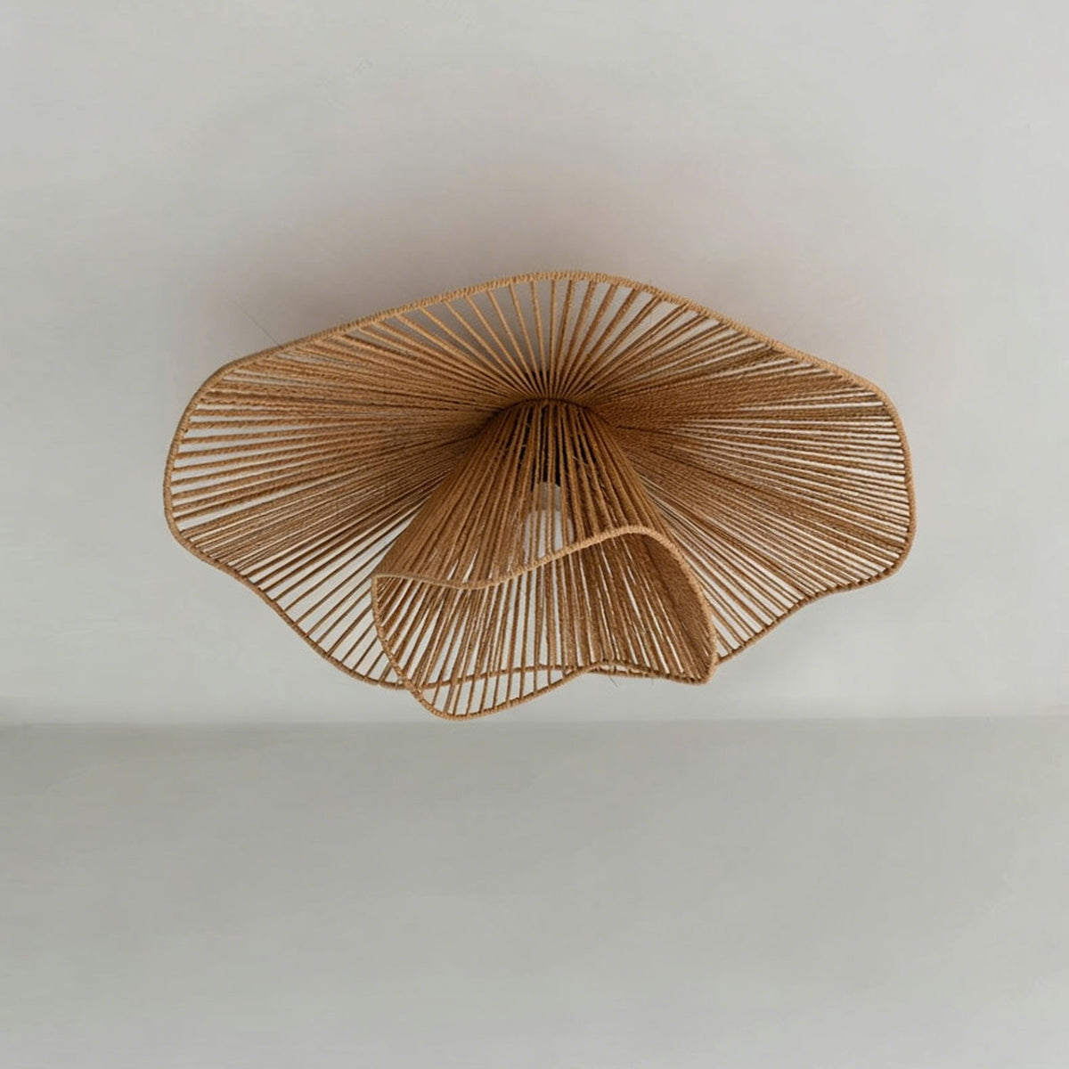 Liorariella Ceiling Light
