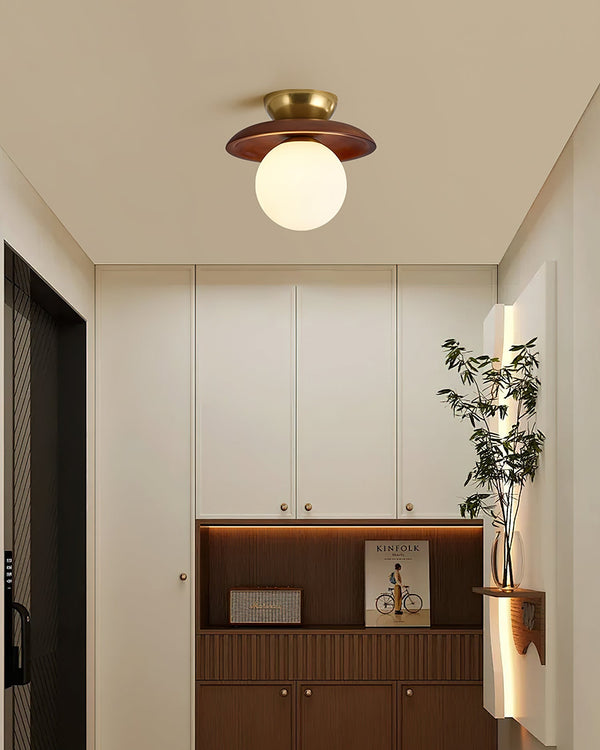 Selania Ceiling Light