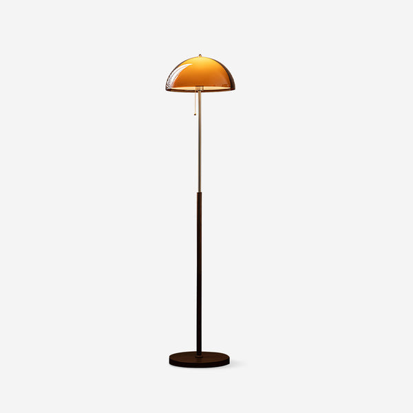 Selenielle Floor Lamp