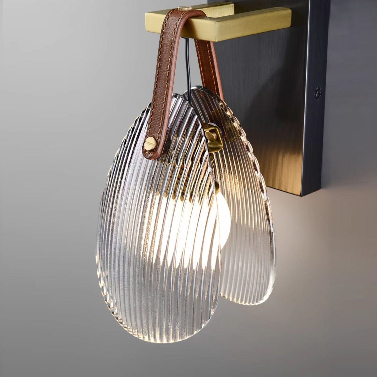 Zaphais Glass Wall Lamp