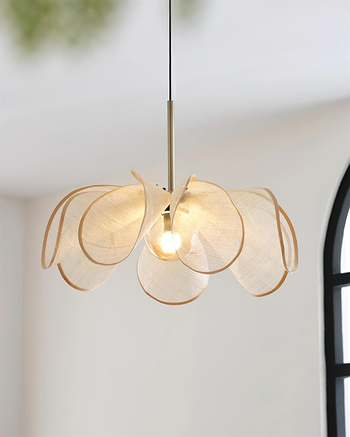 Zinia Pendant Lamp