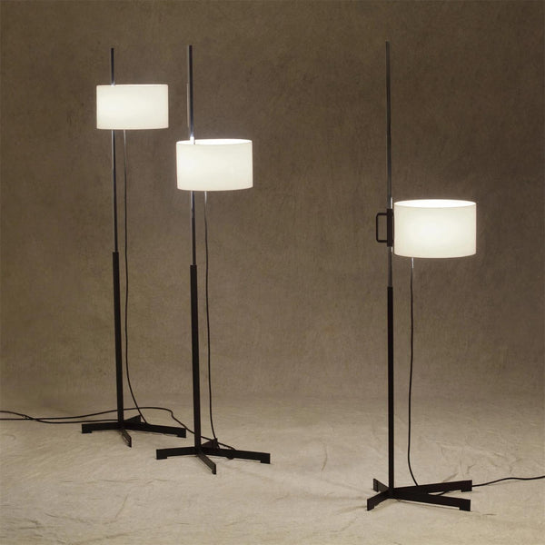 Reniselia Floor Lamp