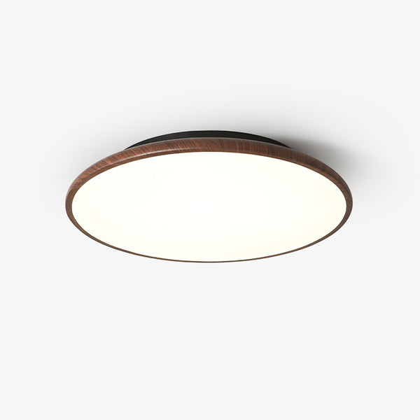 Bluxen Thin Geometry Shape Ceiling Lamp