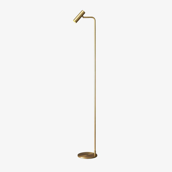 Nirixa Brass Industrial Floor Lamp