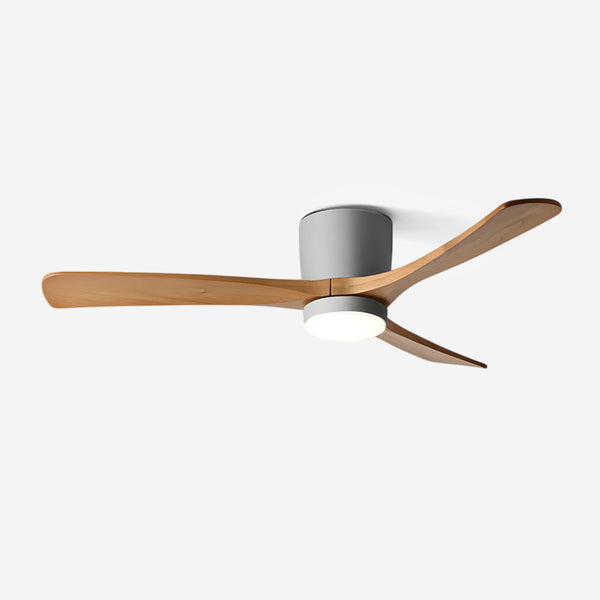 Miroise Ceiling Fan Light