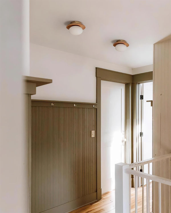 Avenoreria Ceiling Light