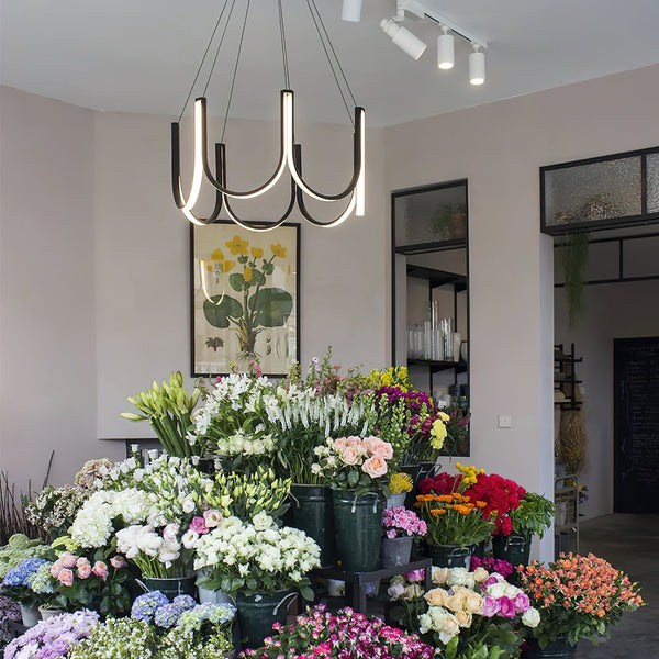 Otheara LED Chandelier