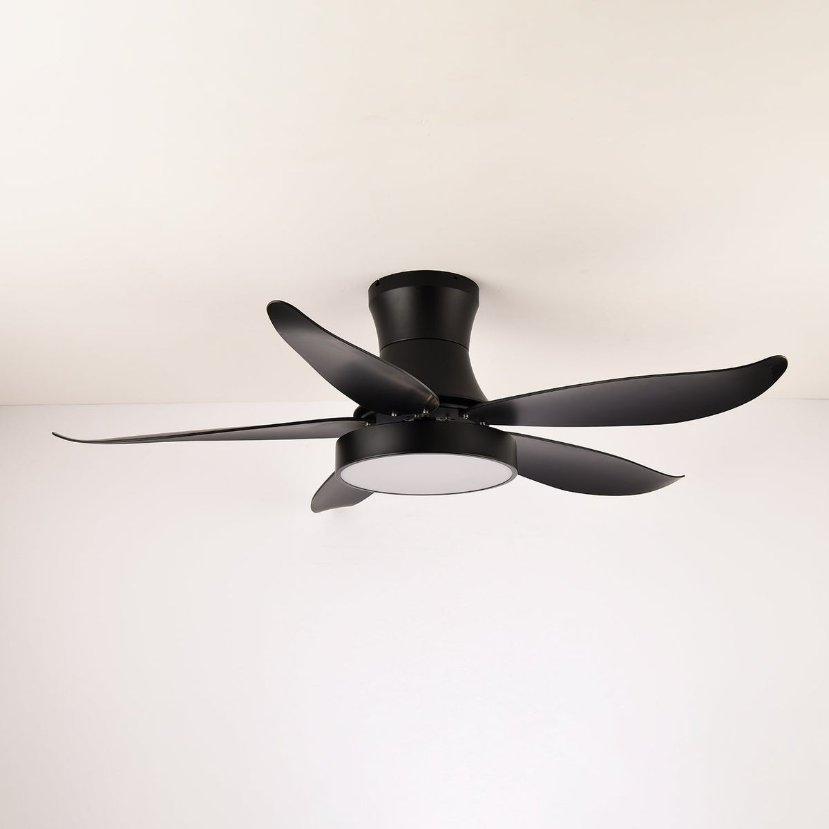 Zephyr Noir Ceiling Fan Light