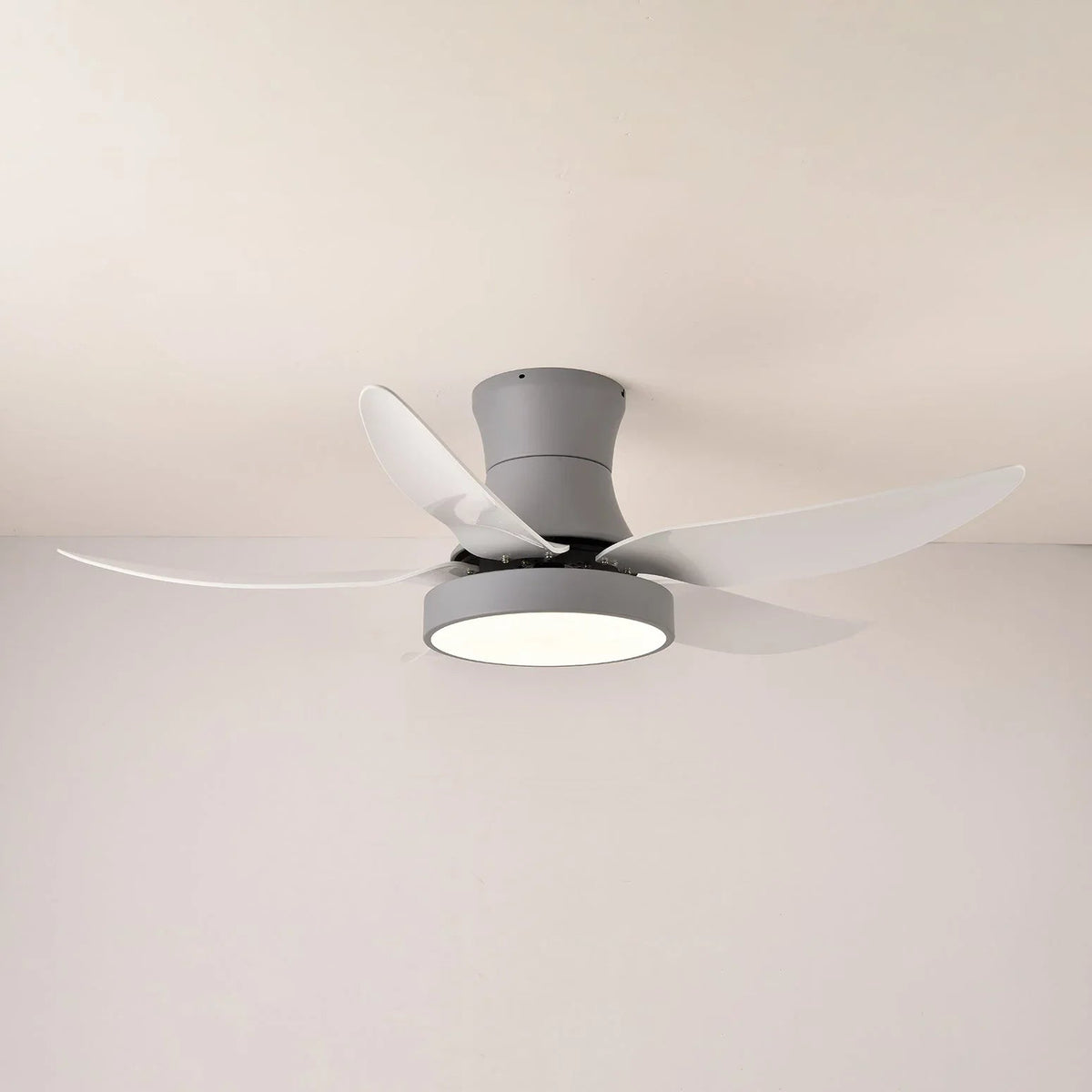 Zephyr Noir Ceiling Fan Light