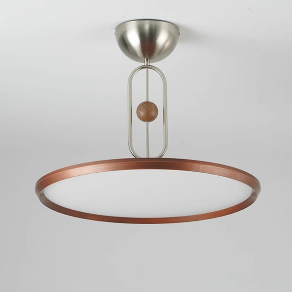 Lucaian Modern Acrylic Ceiling Lamp