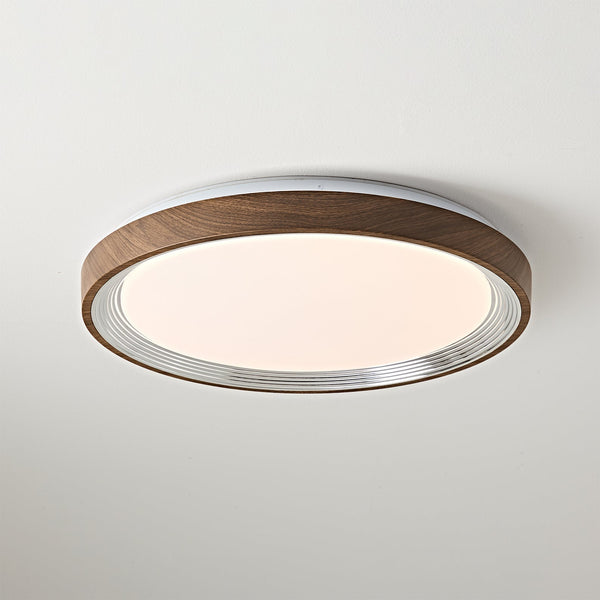 Modern Creative Iron LED Ceiling Lights For Bedroom