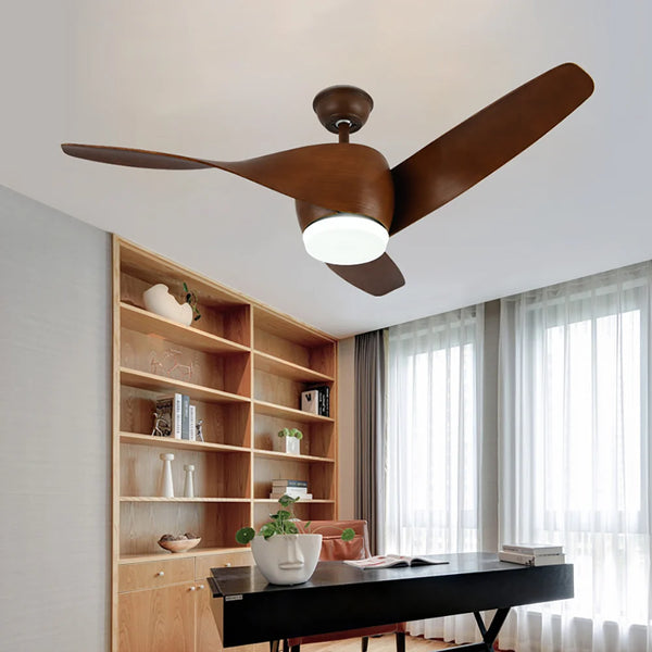 Vintage Akash Ceiling Fan Light