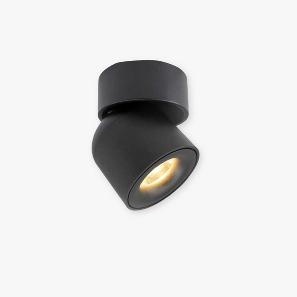 Lurix Spotlight Modern LED Flush Mount Ceiling Light, Black/White