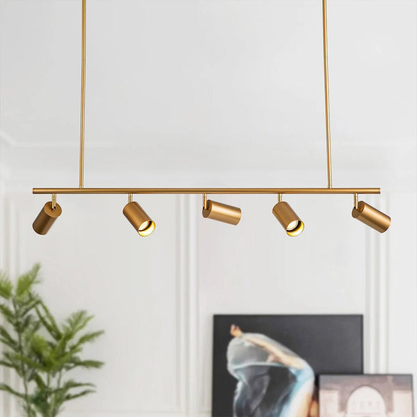 Modern Linear Track Light