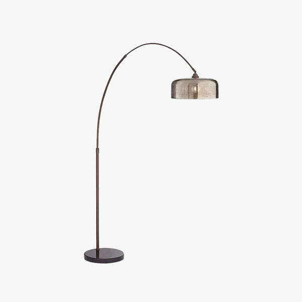 Hailie Retro Brown Curved Floor Lamp, Metal