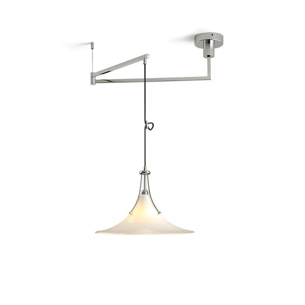 Orient Swing Arm Pendant Light