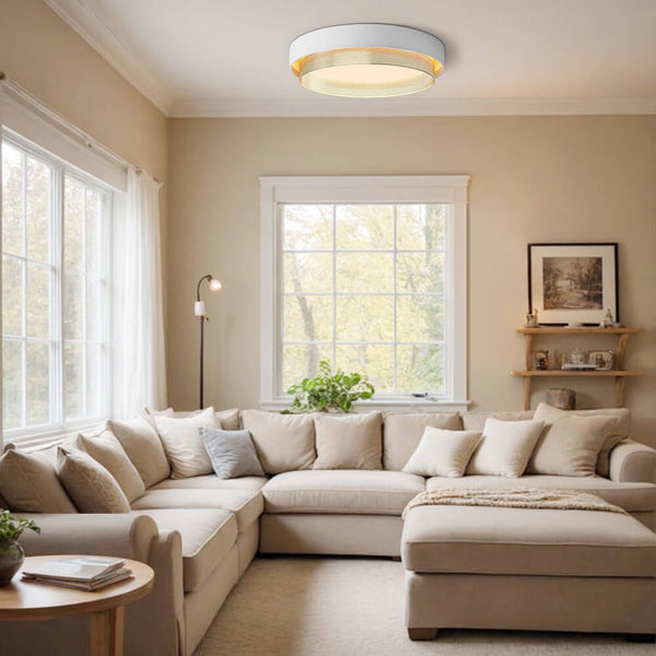 Zorlin Modern LED Flush Mount Light