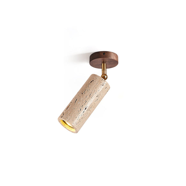 Lumaleon Ceiling Light