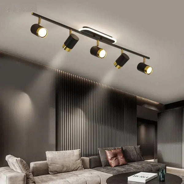 Cassandra Track Lighting Living Room