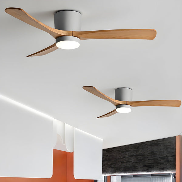 Elaerine Ceiling Fan Light