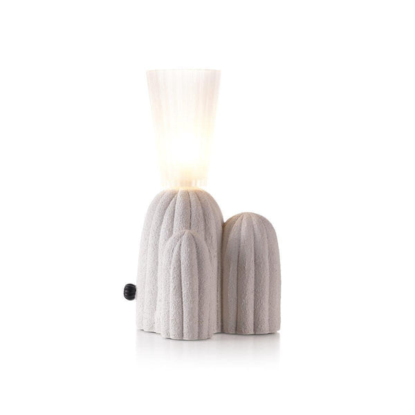 RBS Cactus Lamp