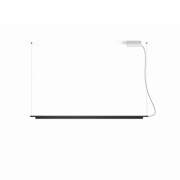 Compendium Pendant Light
