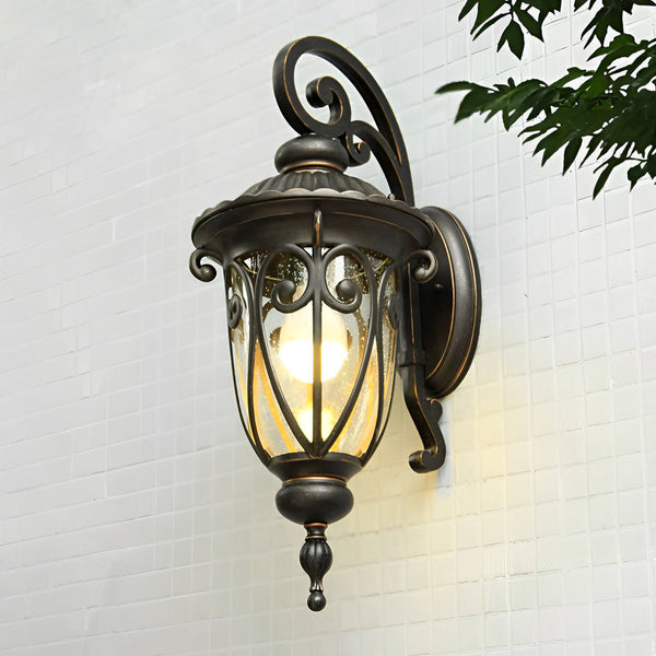Celanira Antique Seeded Glass Outdoor Wall Light