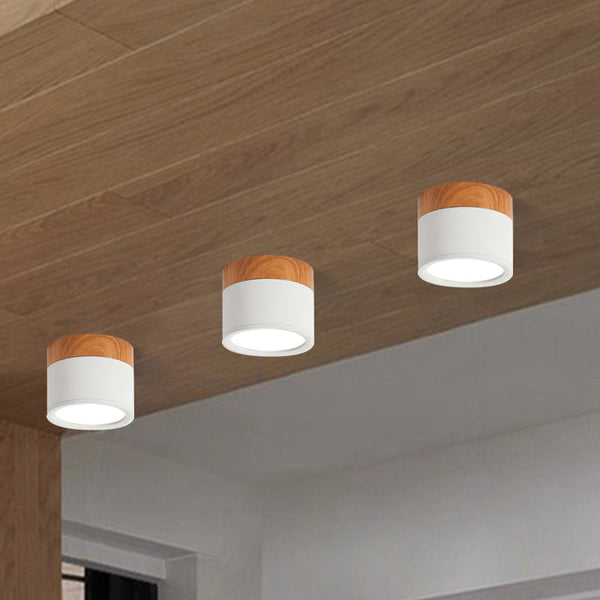 Cylinder Small Flush Ceiling Lights