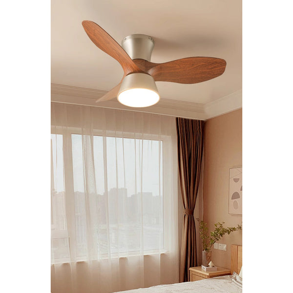 Caluelle Ceiling Fan Light
