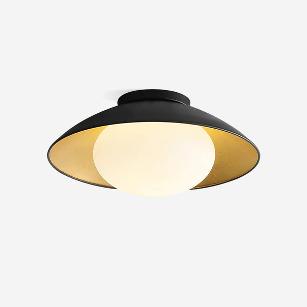 Reneaine Ceiling Light