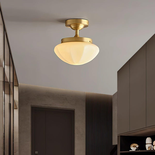 Lumoel Ceiling Light
