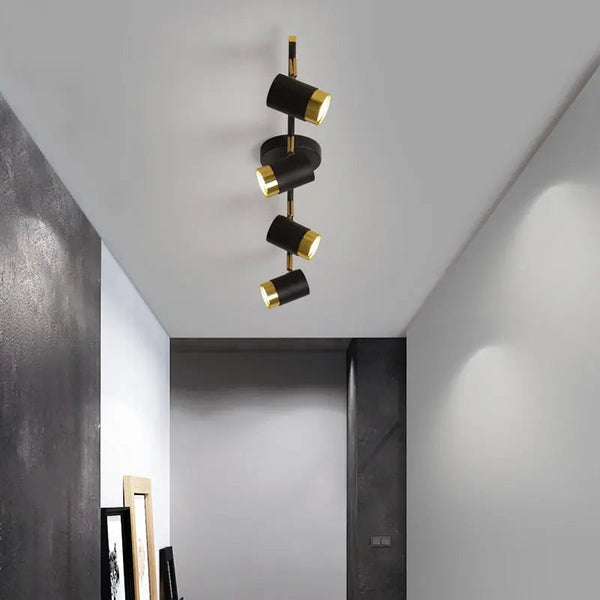 Cassandra Track Lighting Living Room