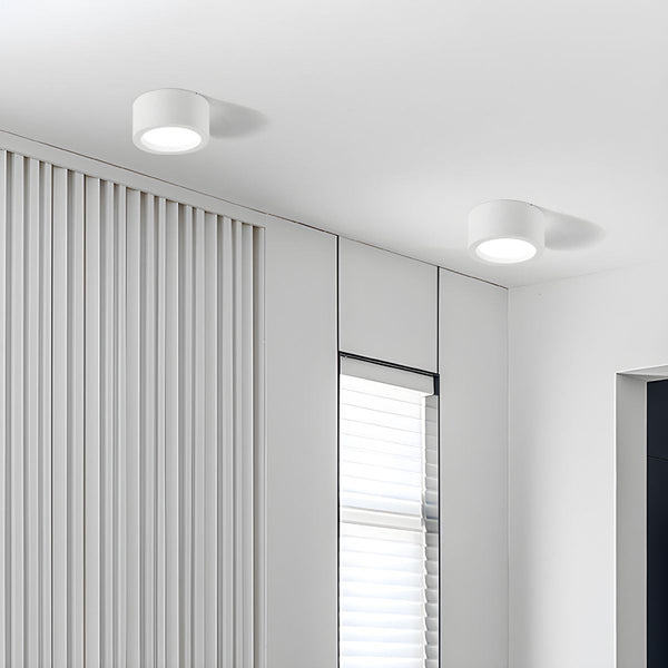 Modern Nordic Style Indoor Ceiling Lights