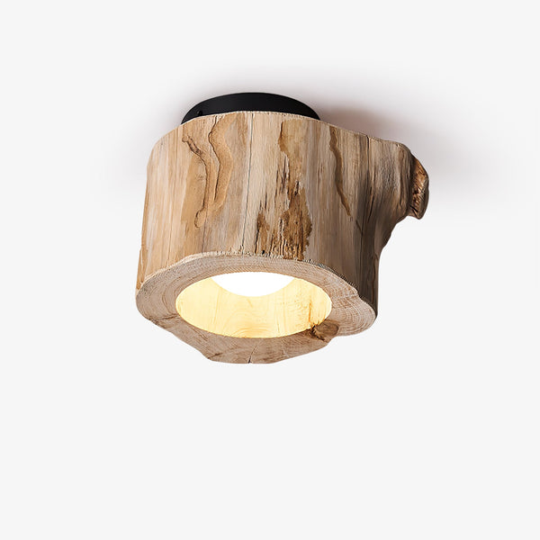 Tarn Hollow Ceiling Lamp
