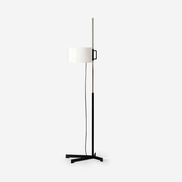Reniselia Floor Lamp