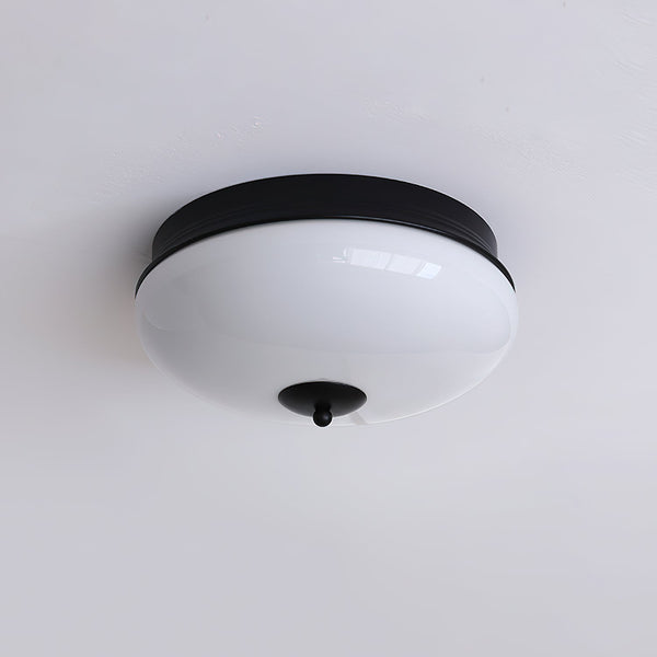 Elairine Ceiling Light