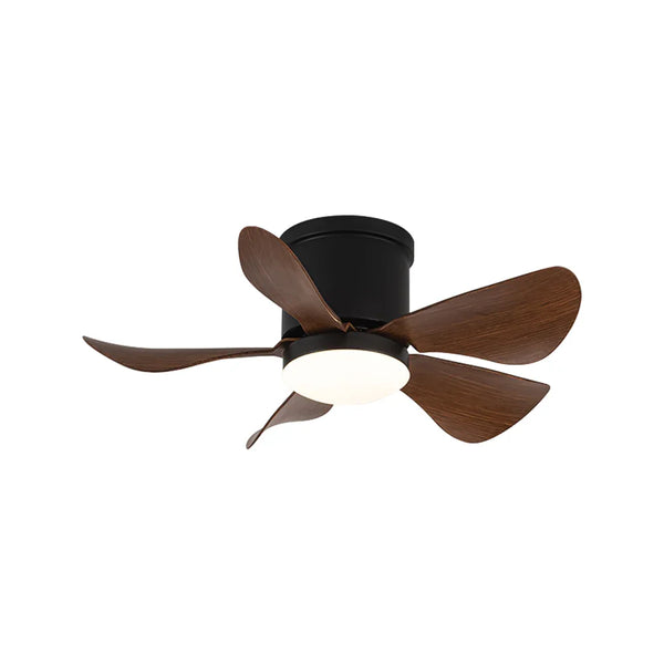 Mini Black Ceiling Fan Light