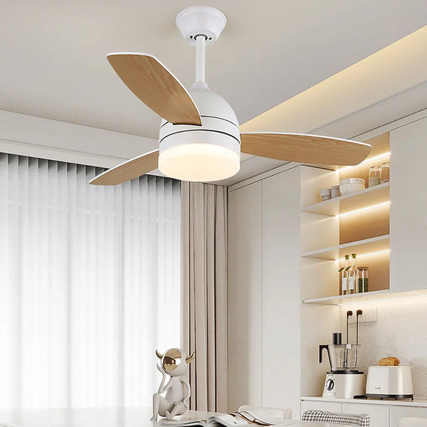 Haydn Farmhouse Blade Ceiling Fan Light