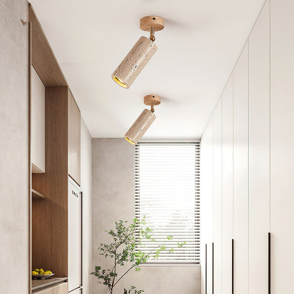 Lumaleon Ceiling Light