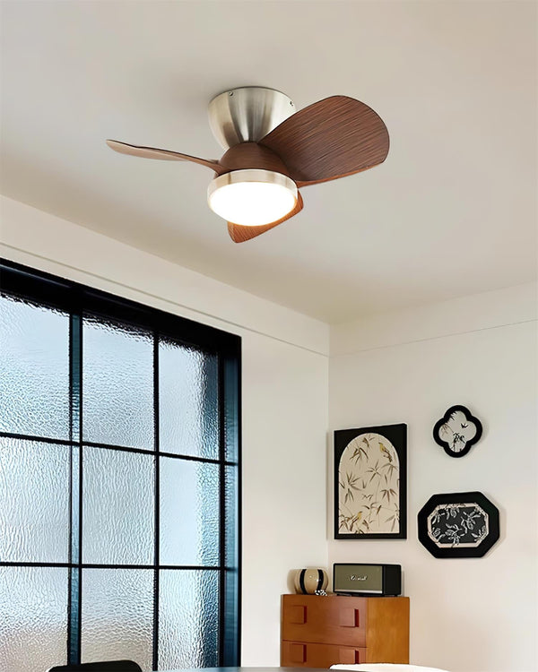 Lioraleria Ceiling Fan Light