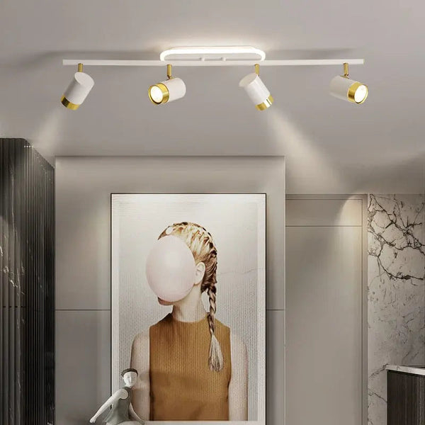 Cassandra Track Lighting Living Room